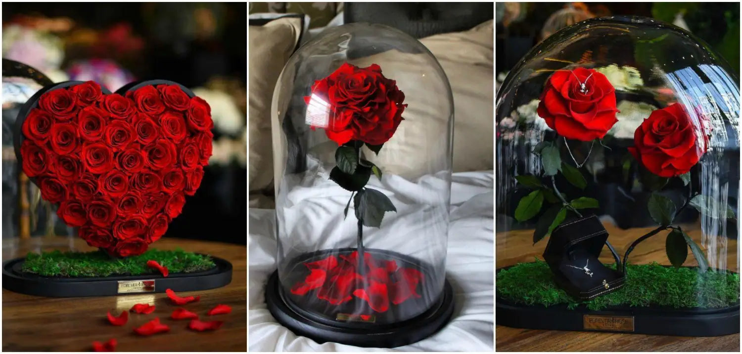 Roses Éternelles sous Cloche - CLUB VIP France