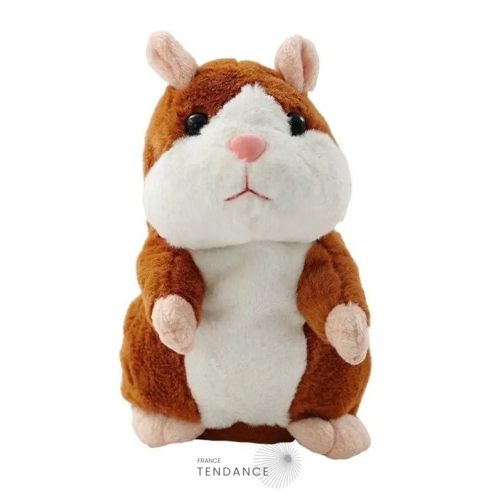 Hamparrot© Le Hamster Parlant! | France-Tendance
