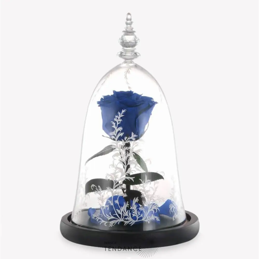 Rose éternelle Sous Cloche La Belle Et Bête Bleu |