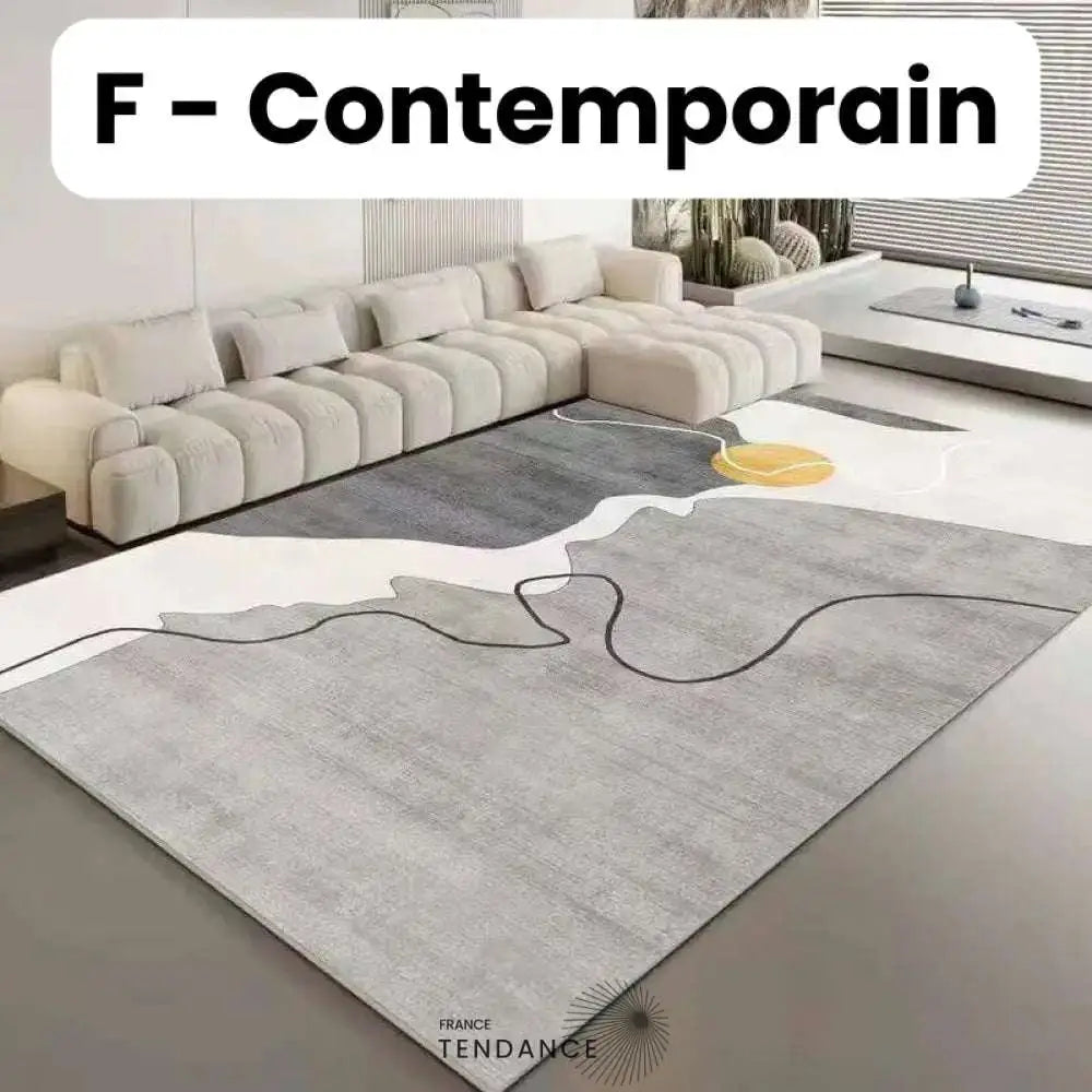 Tapis Magique Intachable | Incroyable Mais Vrai! F - Contemporain / Paillasson (0.4X0.6M) Salon