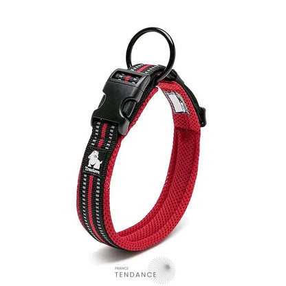 Collier Lumineux Réfléchissant Pour Chien | France-Tendance