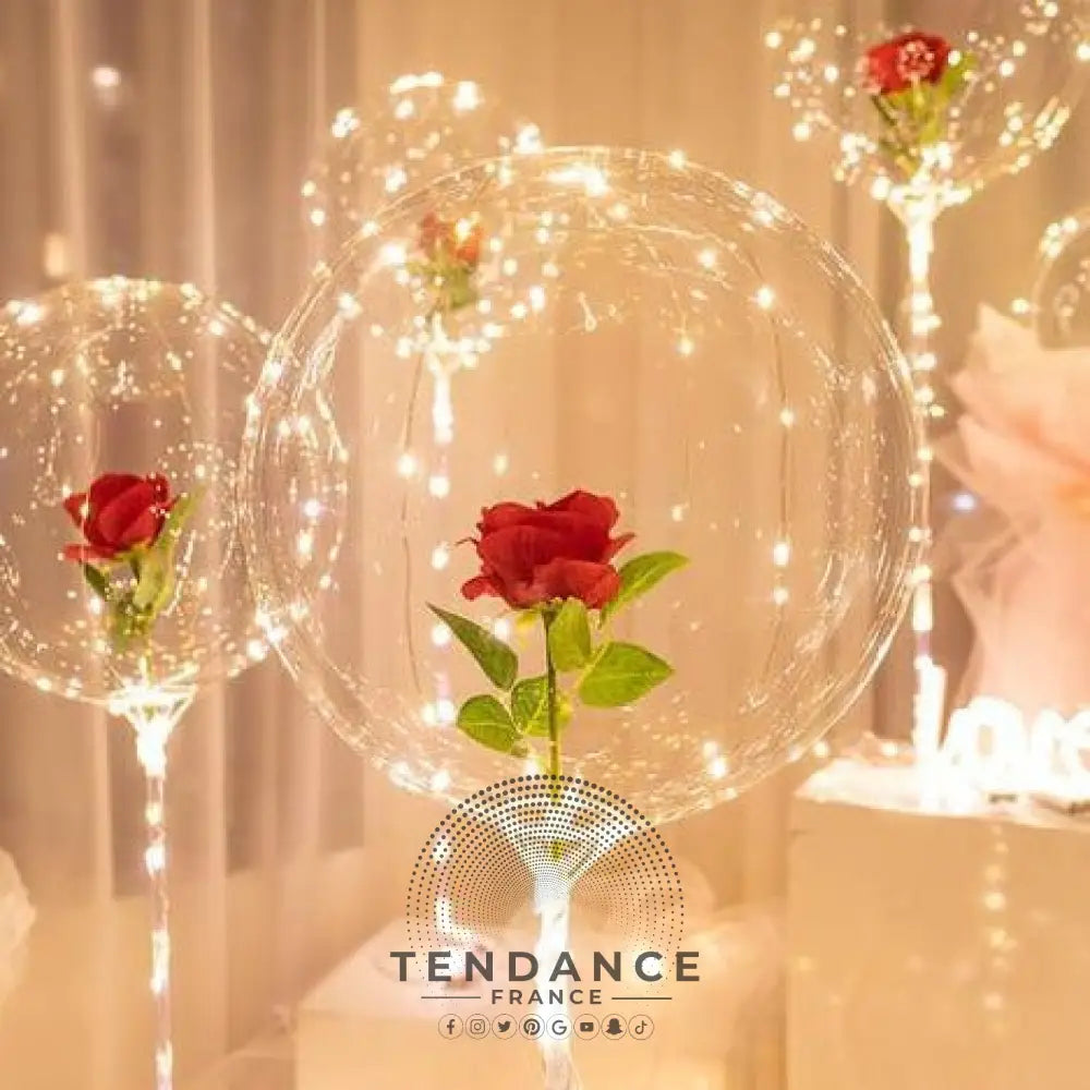 Rose éternelle En Bulle D’amour Lumineuse | France-Tendance