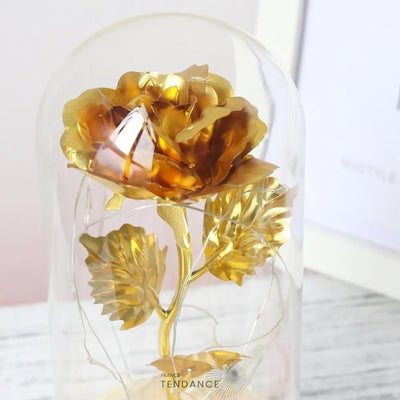 Rose Eternelle Enchantée: La Belle Et Bête | France-Tendance