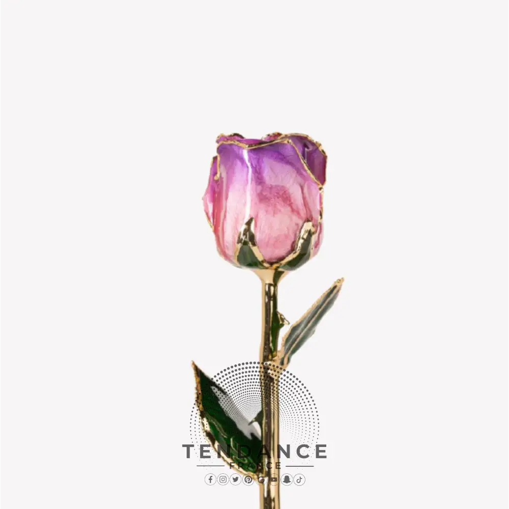 Rose En Or Et Violette | France-Tendance